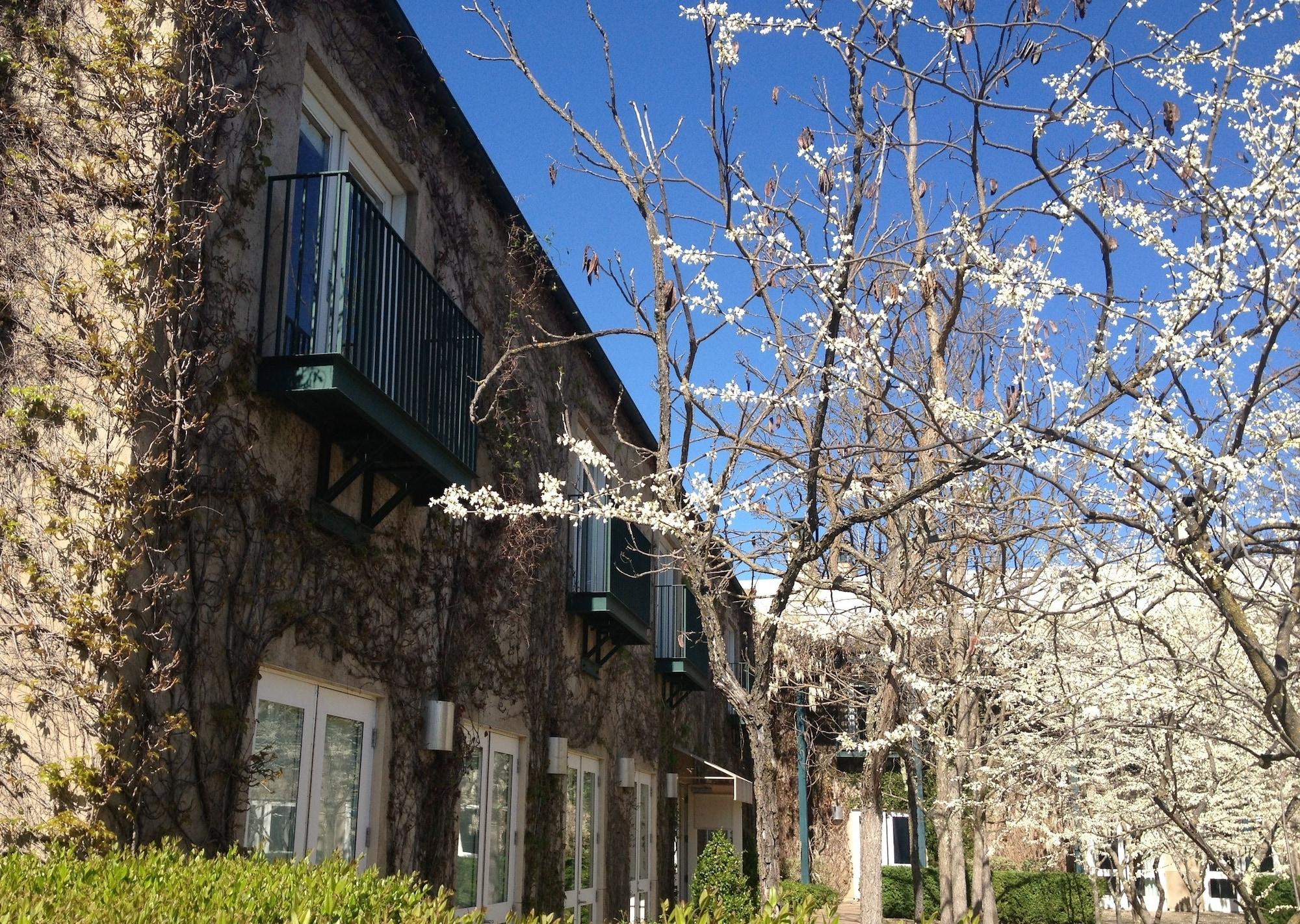 Southbridge Napa Valley St. Helena Eksteriør billede